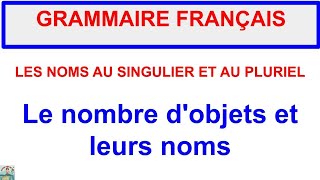 GRAMMAIRE  Les noms au singulier et au pluriel  Le nombre et leurs noms  Activité 1  Partie 4 [upl. by Ecirb]