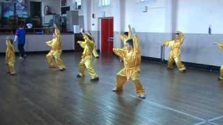 Shaolin Kung Fu KIDS CLASS IN DROGHEDA IRELAND [upl. by Melessa]