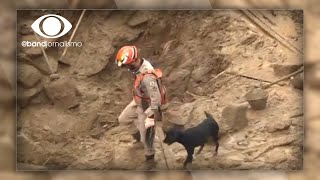 Chuvas em Petrópolis Corpo de Bombeiros retomam buscas [upl. by Dira358]