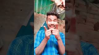 ये मैरी देसी लुक shortsfeed comedy comedyvideos funny musicgenre fun [upl. by Retnuh707]