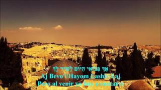 Yerushalayim Shel Zahav Jerusalen de oro Harel Moyal HD Hebreo español [upl. by Einahets]