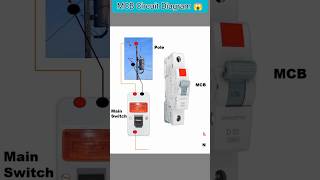 MCB Wiring Connections 😱 shorts mcb [upl. by Ketchum]