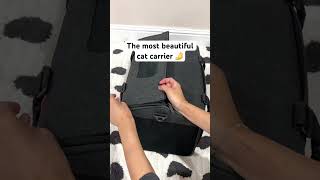 The Most BEAUTIFUL CAT CARRIER [upl. by Ylatfen]