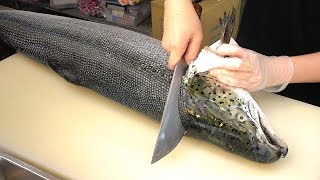 How To Fillet a Whole Salmon  Sashimi amp Sushi Taiwanese street food [upl. by Ayoted]