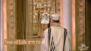 Tree of Life Etz Chayim [upl. by Reginnej793]