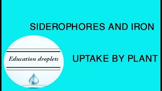 SIDEROPHORES AND IRON UPTAKE BY PLANT [upl. by Soloma]