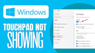 How To Fix Touchpad not showing up in Device Manager [upl. by Sharron]