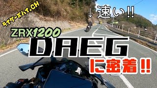 隼に負けてないぞ‼️漢、Kawasaki ZRX1200 DAEG に密着‼︎ [upl. by Devora]