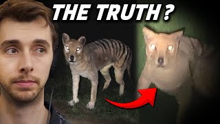 The Truth Behind The Faked Tasmanian Tiger Footage [upl. by Tibbetts]