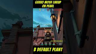 Gekko Mosh Lineup on Pearl  B default Plant 발로란트 valorantclips [upl. by Ahcsatan]