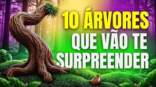 Você Não Vai Acreditar Que Essas 10 ÁRVORES Existem 🌳😱 [upl. by Sabah]