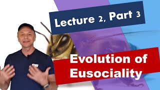 L2P3 Evolution of Eusociality [upl. by Anaeel]