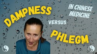 Dampness versus Phlegm in Chinese Medicine with treatment [upl. by Trin255]