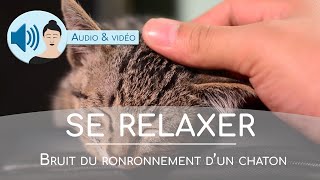 Bruit de ronronnement de chaton pour la relaxation  Ronronthérapie ASMR 🎧 2 Heures [upl. by Pierrette]