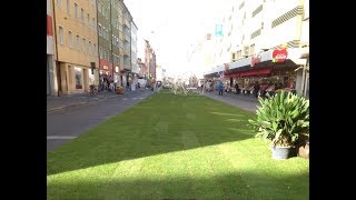 Flashmob Nürnberg 2018 Ode an die Freude [upl. by Dier]