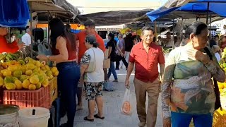 FEIRA LIVRE NA CIDADE DE CARNAUBAL CEARÁ DIA 25082023 [upl. by Anaz]