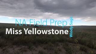 Windy Sage Miss Yellowstone Natural Ability Prep  Field [upl. by Anavas]