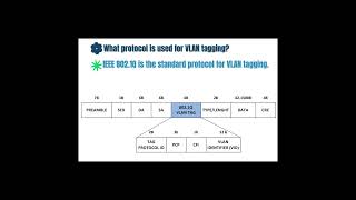 What Protocol is Used for Vlan Tagging ccna networktopology ccnanetworkengineer computernetwork [upl. by Luisa]