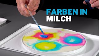 Farbenspiele in Milch  MitmachExperiment [upl. by Etnoved]