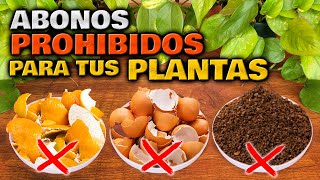 ¡CUIDADO Estos ABONOS CASEROS son PELIGROSOS para tus PLANTAS  Abono Casero Jardin o Huerto Urbano [upl. by Tiny]