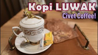 Kopi LUWAK Civet Coffee [upl. by Stiegler]