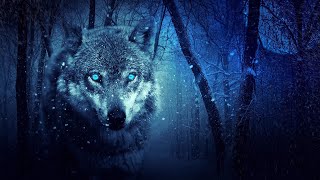 Wolves howling in the night 8 Hours of wolf sounds [upl. by Asilrac]