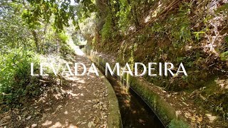 Easy Levada in Madeira  Levada Dos Tornos  Madeira Island [upl. by Enileme824]