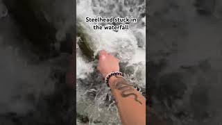 countrymusic fishing trout creekfishing rainbowtrout steelheadfishing [upl. by Eesak660]