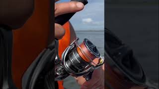 Shimano twin power 2024 fishing рыбалка2024 спиннинг рыбалка shaman shimanotwinpower [upl. by Aleris]