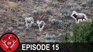 Confused Spike  Optimum Opportunity Destination Elk V3  Episode 15 [upl. by Gatian]