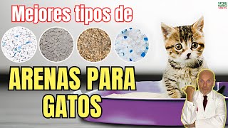 🐱 ¿CUALES SON LOS MEJORES TIPOS DE ARENA PARA GATOS 🐱 [upl. by Jacobine]