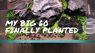 3 BEST CARPET PLANTS for beginners  60x50x40 finally planted [upl. by Enelrac109]