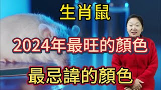 生肖鼠！在2024年【龍年】最旺的顏色是什麼顏色？那生肖屬鼠人在2024年最忌諱的顏色又是什麼顏色呢？這期視頻講述生肖鼠在2024龍年最旺，最忌諱的顏色！生肖 運勢 財運 [upl. by Arihsa]