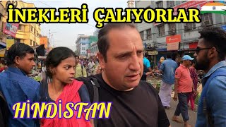 ðŸ‡®ðŸ‡³ HÄ°NDÄ°STANIN HÄ°JYENÄ°K HUZURLU VE ÅžÄ°FALI SOKAKLARI Ä°NEKLERÄ° NEDEN KAÃ‡IRIYORLAR KOLKATAã€Š149ã€‹ [upl. by Carmel]