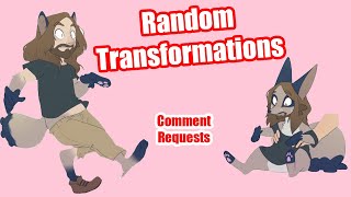 Random Transformations Comment Requests 13 [upl. by Eniagrom282]