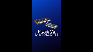 MOOG Muse vs Matriarch Which One Is For You [upl. by Nnaul]