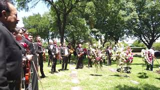 MARIACHI DE DALLAS FUNERAL 2145525323 [upl. by Leelahk357]