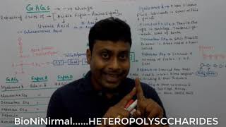 Biochemistry of Carbohydrate Heteropolysaccharides in Bengali [upl. by Arrec]