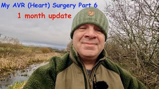 My AVR Heart Surgery  Part 6  1 Month PostOp Update [upl. by Yrrep]