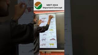 NEET 2024 Important Concept Placental Mammals amp Australian marsupials 😁 neet neet2024 neet2025 [upl. by Ander]