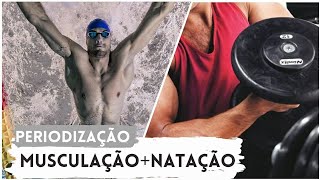 PERIODIZAÇÃO ENTRE MUSCULAÇÃO E NATAÇÃO [upl. by Raddi]