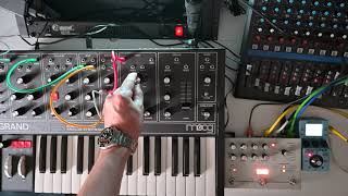 DubTechno chords on Moog Grandmother [upl. by Aioj]