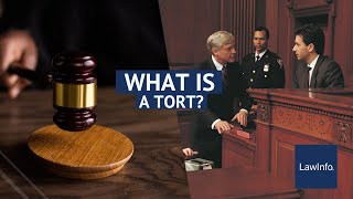 What Is a Tort  LawInfo [upl. by Tanny246]