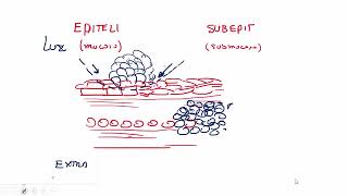 4 RM19 1V D A 6 CIRUG A GENERAL CANCER ESOFAGO [upl. by Gnirol]