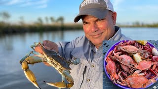 Louisiana Blue Crab Catch amp Cook Boiled Crabs amp Crawfish [upl. by Arden]