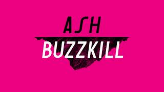 Ash  Buzzkill Official Audio [upl. by Akemej]