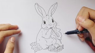 CARA GAMBAR KELINCI  HOW TO DRAW RABBIT [upl. by Kimberlyn]