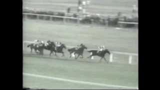 NIJINSKY wins the STLEGER at Doncaster 1970 [upl. by Baal358]