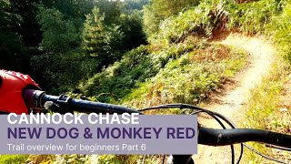 Cannock Chase Follow The Dog and Monkey Trails 2021 Pt6 [upl. by Jaquelin]