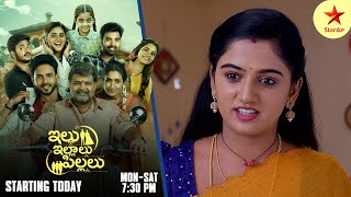 Paape Maa Jeevanajyothi  Promo  12th Nov 2024  Star Maa Serials  MonSat at 12 pm  Star Maa [upl. by Tri443]